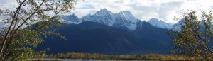 cropped-Fall-along-the-Chilkat-River-2.jpg