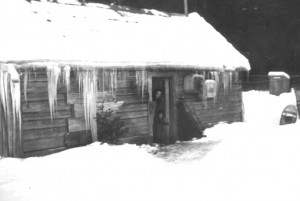 Homestead in Alaska 1949 or '50