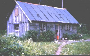 Summer on the homestead