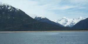 Katzehin mud flats, river mouth and whale tail