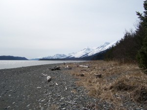 Looking south, Rocky Point, Horton Pt & River, Sullivan Island