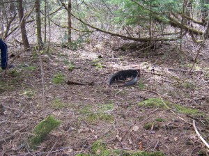 Log barn sat here...we could see the outline