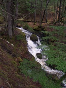 Stream at Mary's cabin