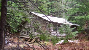 Mary's cabin, last place we lived in Haines